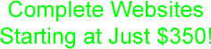 Complete Websites Starting at Just $350